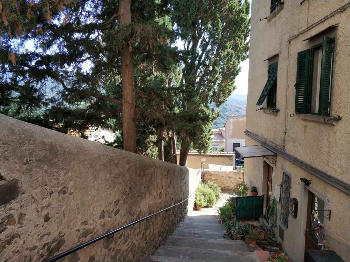 Il Granaio Apartamento Castagneto Carducci Exterior foto